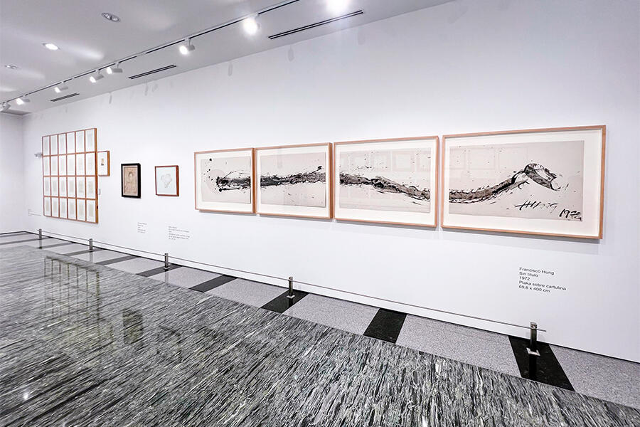Mercantil Collection and Auditorium