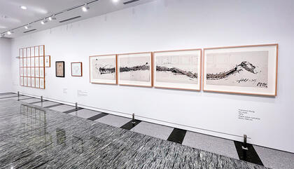 Mercantil Collection and Auditorium