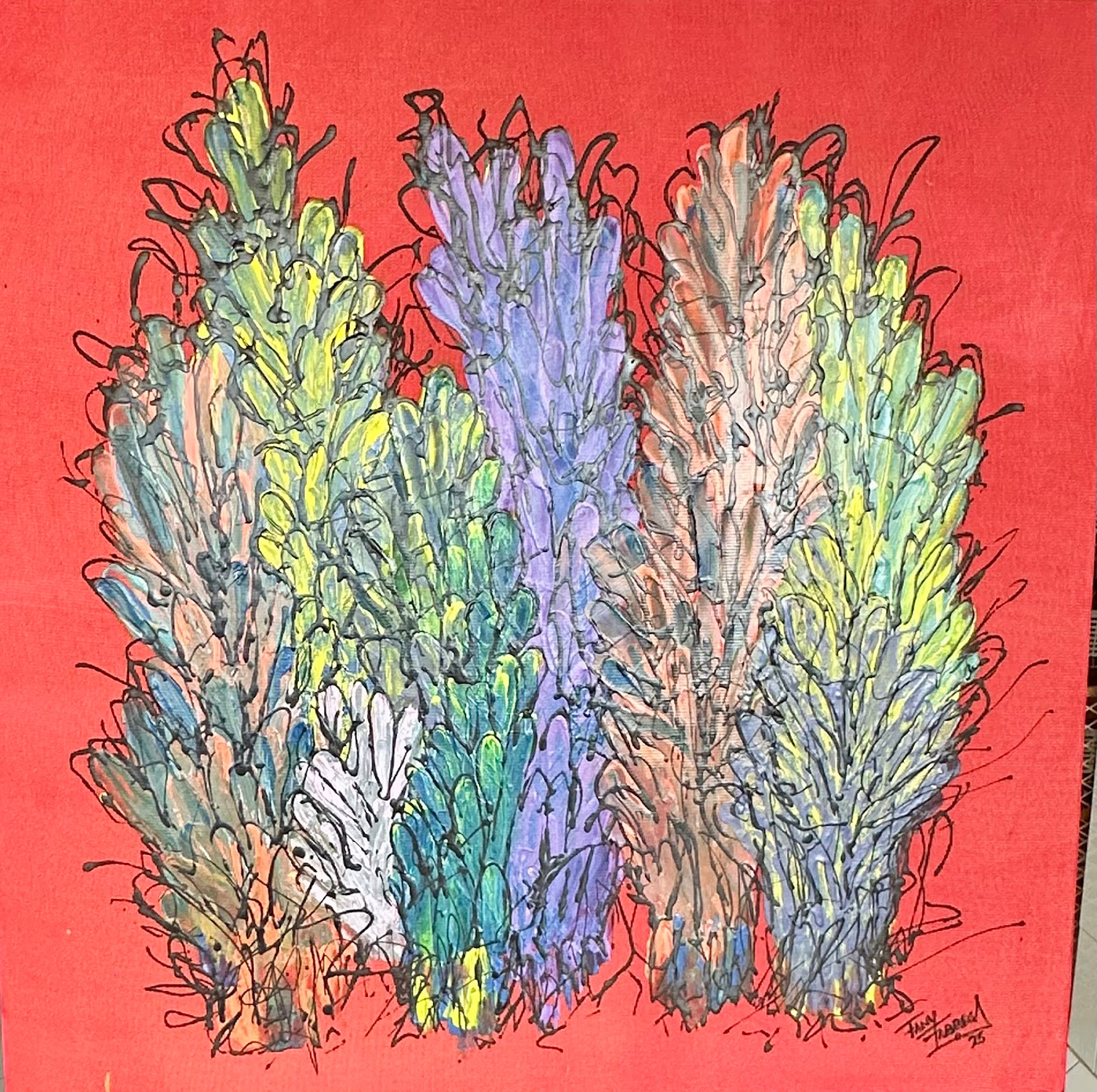 Rarezuras Coloradas