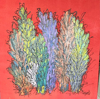Rarezuras Coloradas