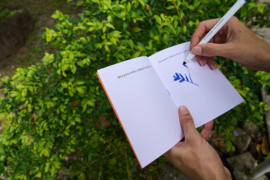 Poetic Protocols for Walking