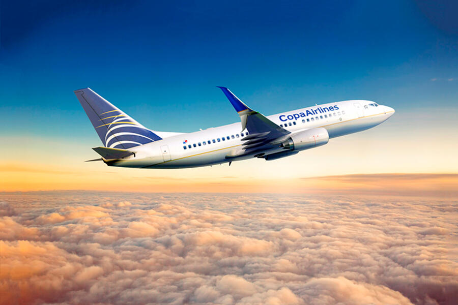 Pinta Panamá Art Week & Copa Airlines 